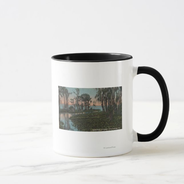 Taza Eustis, Florida - Vista del Canal Swampy (Derecha)