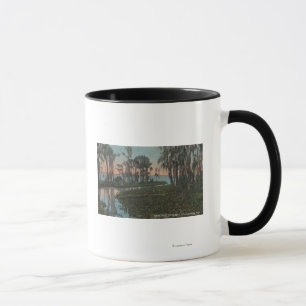 Taza Eustis, la Florida - vista del canal cenagoso