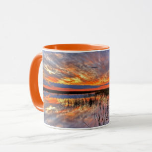 Taza Everglades de Florida