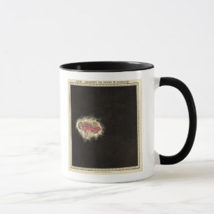 Taza Exhibición del Imperio de Alejandro 323 a.C.