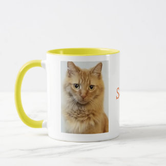 Taza Explora el Mancoon