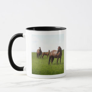 Taza Familia de caballo en campo