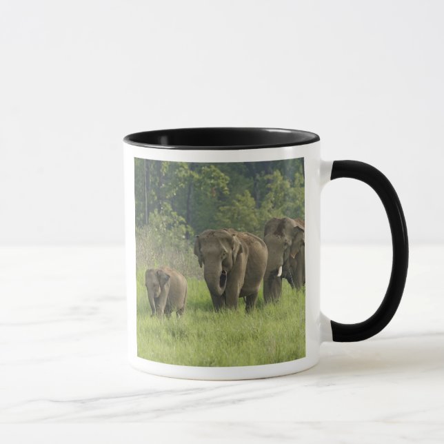 Taza Familia de elefantes indios (Derecha)