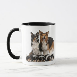Taza Familia del border collie