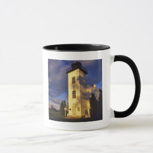 Taza Faro en Escanaba UP Michigan