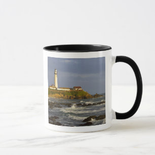 Taza Faro en Pigeon Point State Beach en San 2