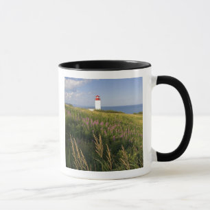 Taza Faro en St. Martins, Nueva Brunswick, 2