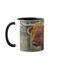 Feliz Coosday para ti