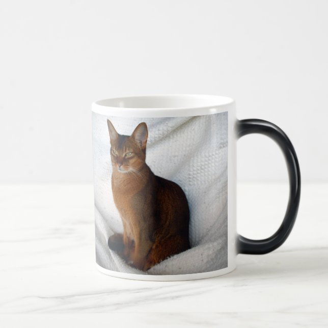 Taza femenina rubicunda abisinia del gato (Derecha)