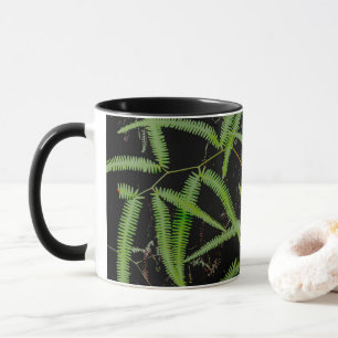 Taza Fern
