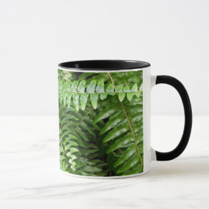 Taza Fern Fronds I Green Nature