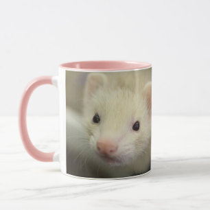 Taza Ferret face