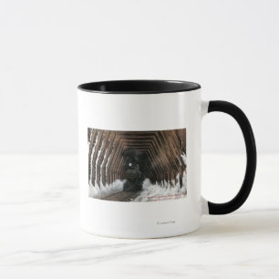 Taza Ferrocarril de Showsheds