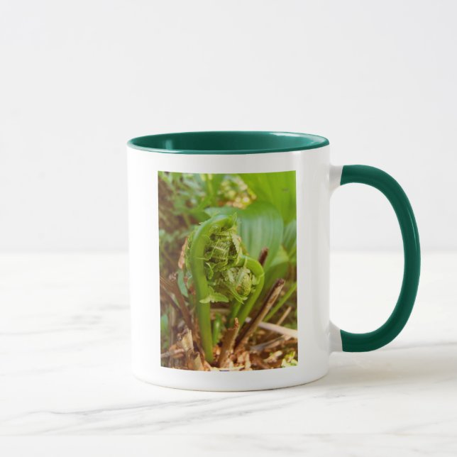 Taza Fiddleheads (Derecha)