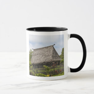 Taza Fiji, Isla Viti Levu. Centro Cultural Polinesio
