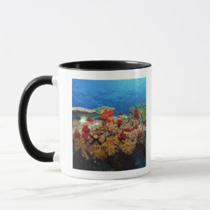 Taza Filón escénico de los corales duros, corales