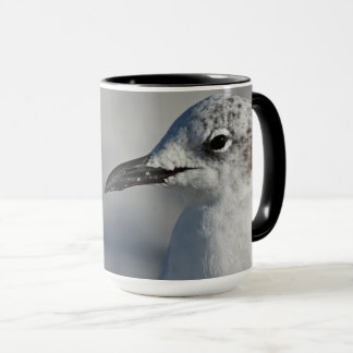 Taza Flagelo blanco natural de la gaviota de Florida