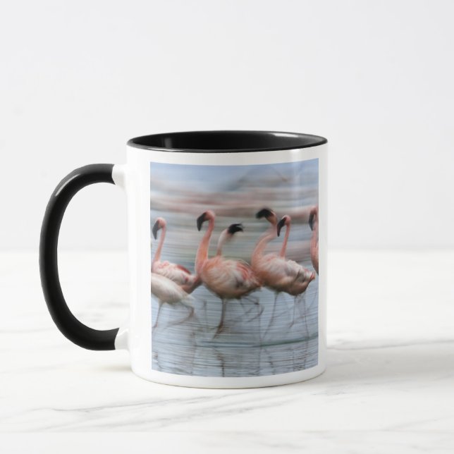 Taza Flamencos menores en movimiento, Phoenicopterus (Izquierda)