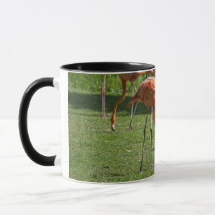 Taza Flamingos