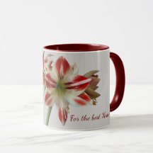 Flor de amaryllis roja con texto personalizado