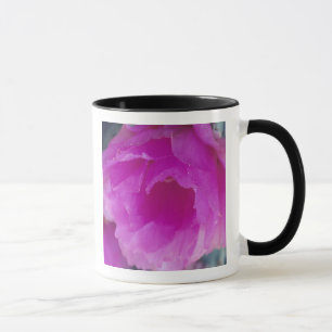 Taza Flor de cactus erizo rosa (Echinocereus