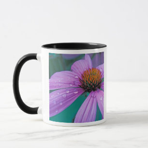 Taza flor de cono morado con gotas de agua