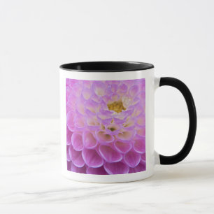 Taza Flor de crisantemo decorando tumba en