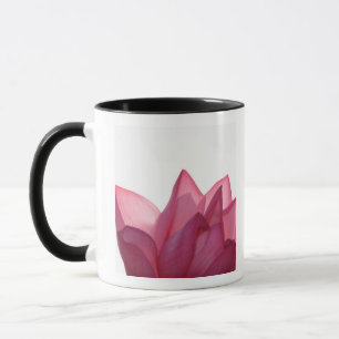 Taza Flor de loto [Nelumbio speciosum] en plena floraci