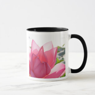 Taza flor de loto [Nelumbo speciosum] en plena