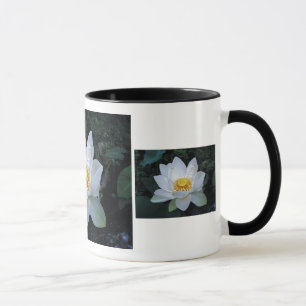 Taza Flor de Lotus