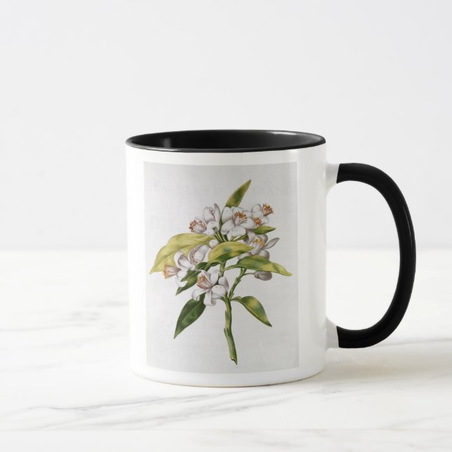 Taza Flor del árbol anaranjado, de 'La Guirlande de (Derecha)