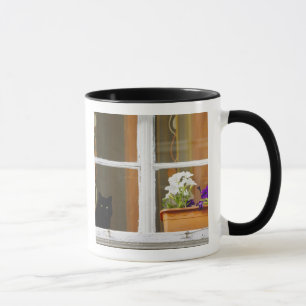 Taza Flor junto a la ventana, Sighisoara, Rumania