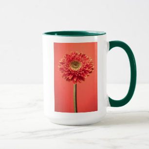 Taza Flor roja de la margarita del Gerbera de Barberton