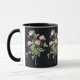 Taza Flor Rosa Rosa Rosa Naturaleza Botánica Blossom Ja