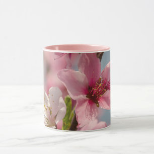 Taza Flor sakura, flor japonesa rosa