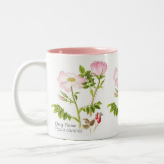 Taza floral clásica - rosa de perro