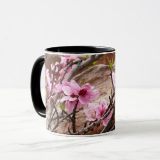 Taza Florecimiento de primavera en las rocas del Zion
