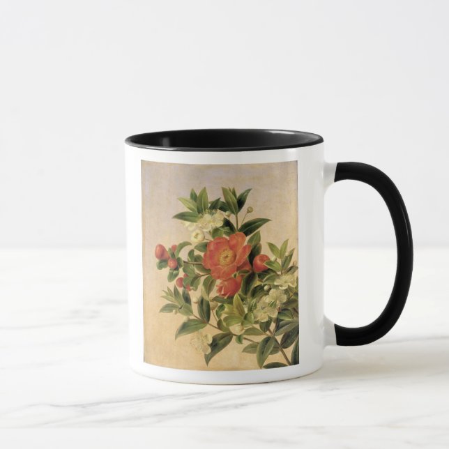 Taza Flores, 1835 (Derecha)