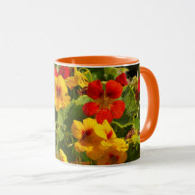 flores amarillas naranjas, nasturtiums, florales,