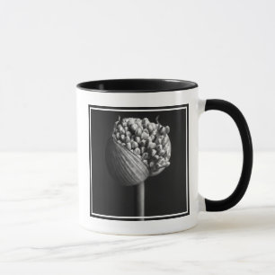 Taza Flores   B&W Allium Flower Bud