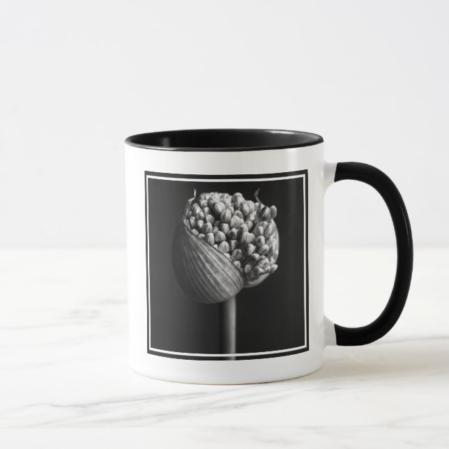 Taza Flores | B&W Allium Flower Bud (Derecha)
