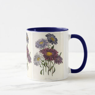 Taza Flores de Aster Púrpura Antiguas y Florales Vintag