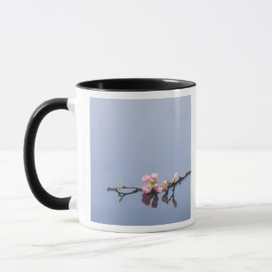 Taza Flores de cerezo en el agua