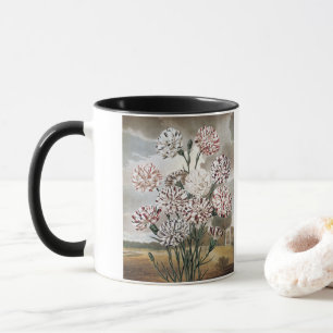 Taza Flores de clavel variegado vintage con cielo gris