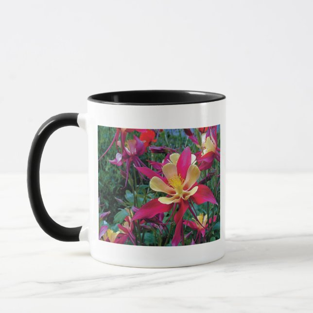 Taza flores de color hermosas (Izquierda)