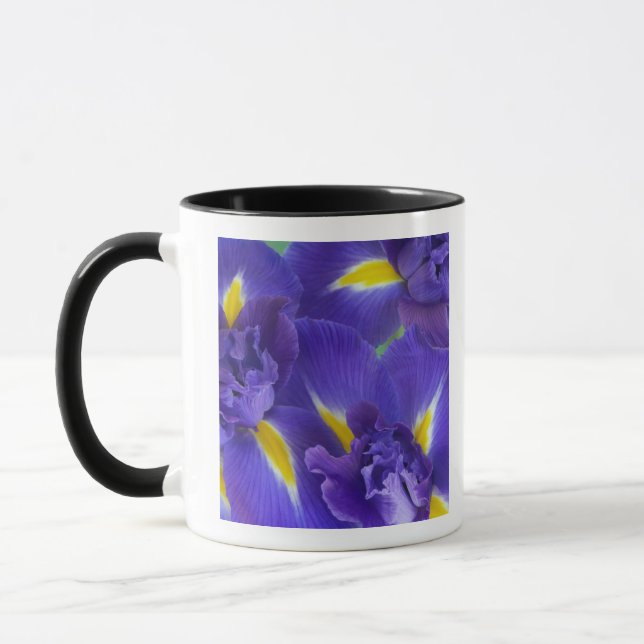 Taza Flores de Iris (Izquierda)