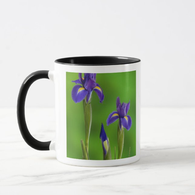 Taza Flores de iris (Izquierda)