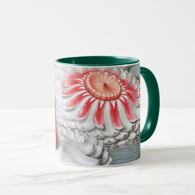Taza Flores de nenúfares en un estanque de jardín (Anverso derecho)