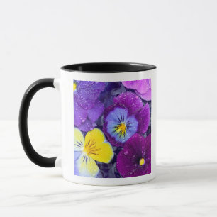 Taza Flores de pensamiento flotando en baño de pájaros