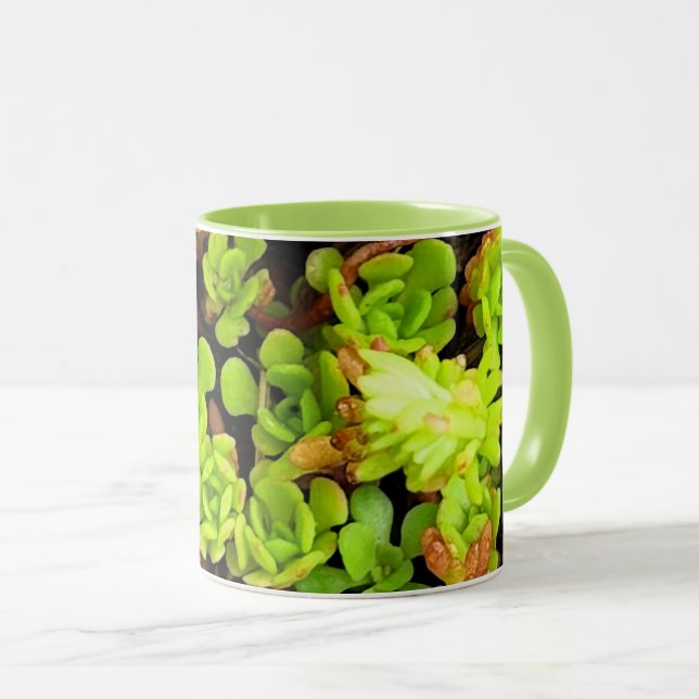 Taza Flores de Suculentas Verdes (Anverso derecho)